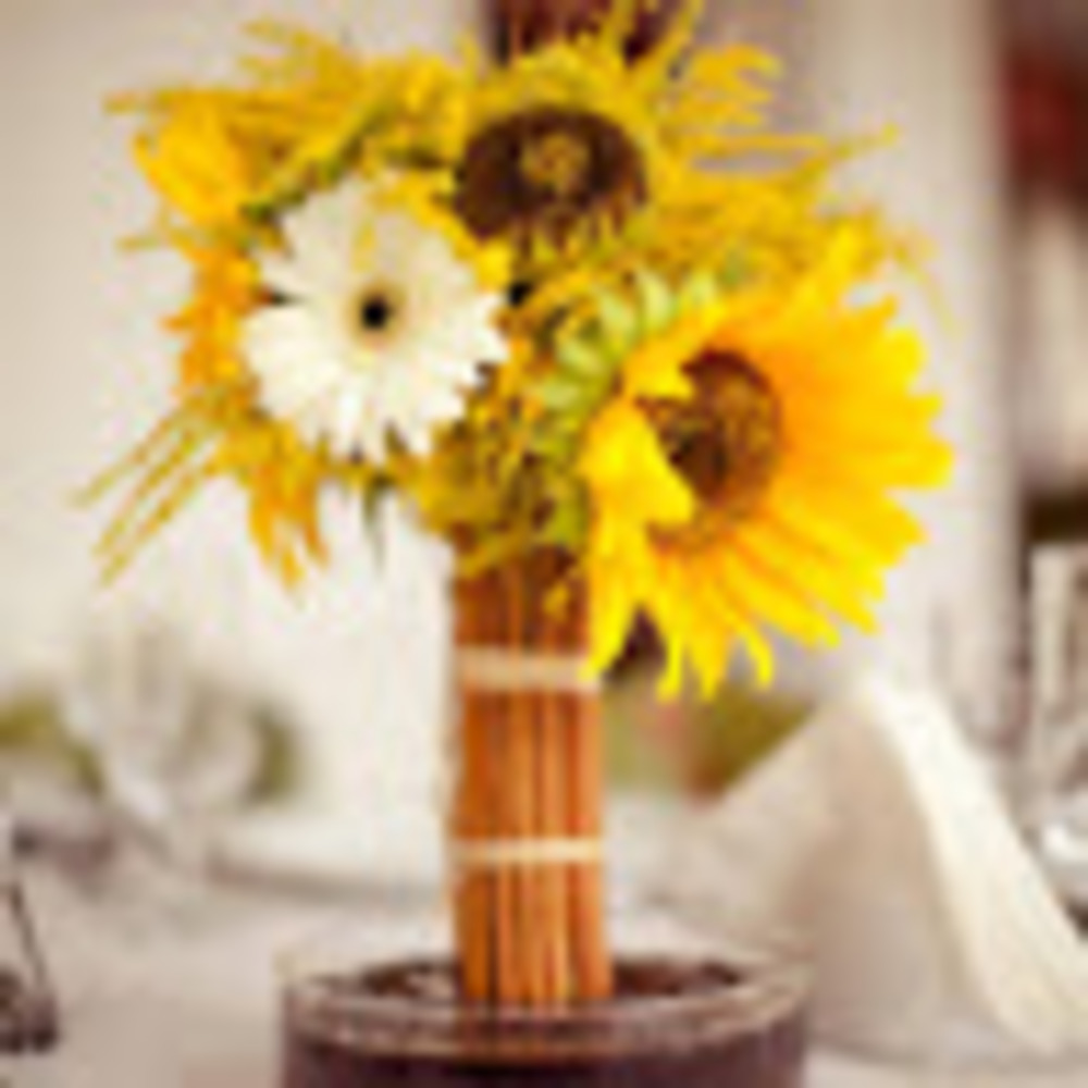 Meet your Posher, Ema